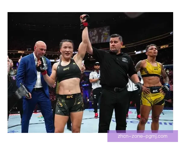 搏击巅峰：挑战者之路